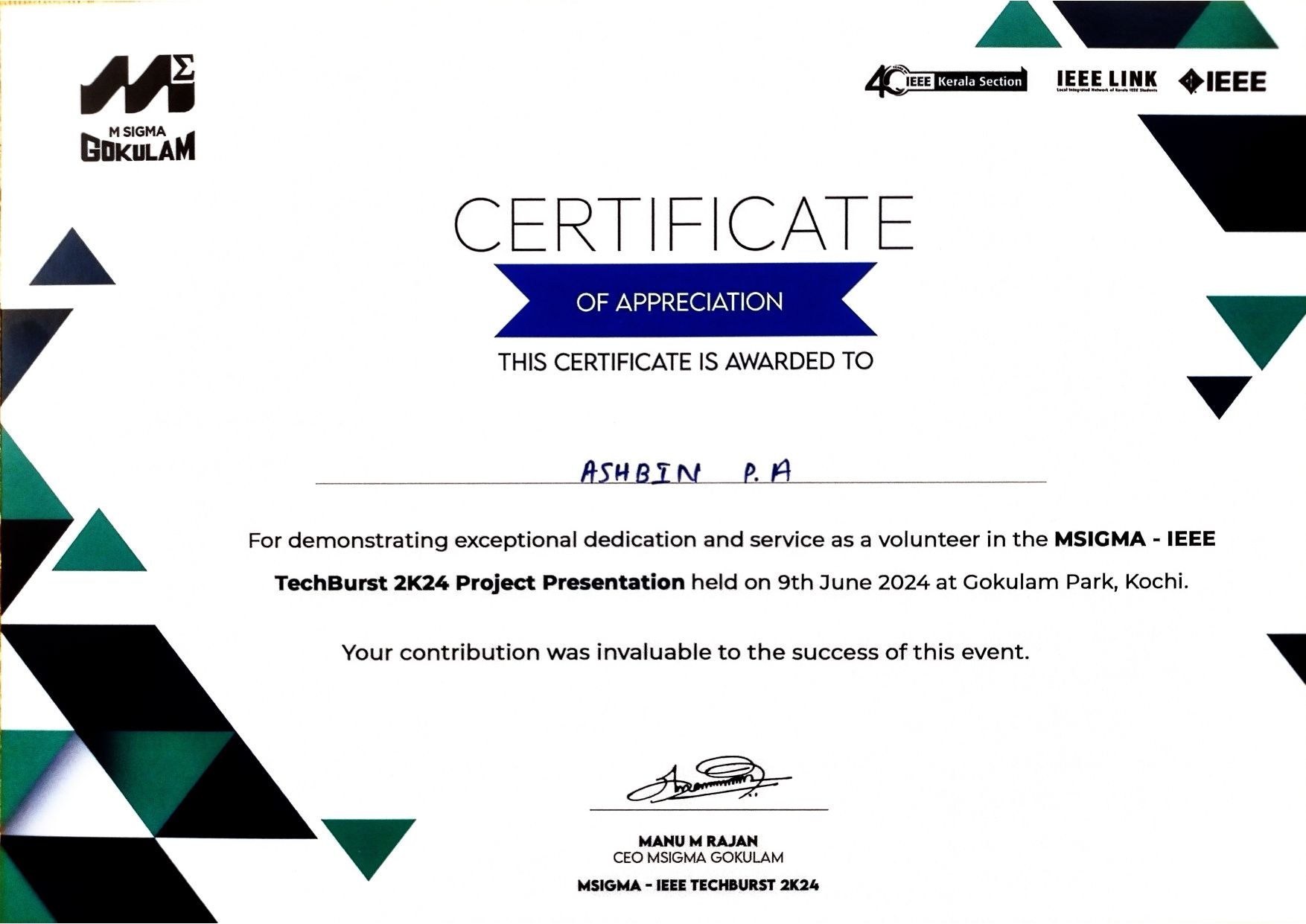 IEEE-MSIGMA